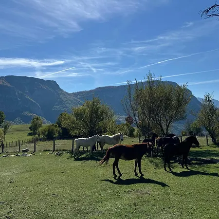 Penzion Turi-selce Selce