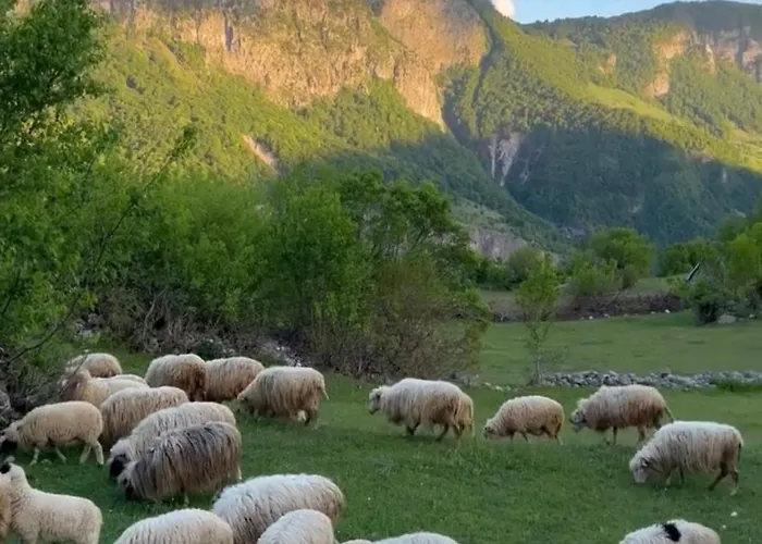 Penzion Turi-selce Selce