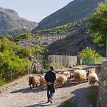 Turi-selce