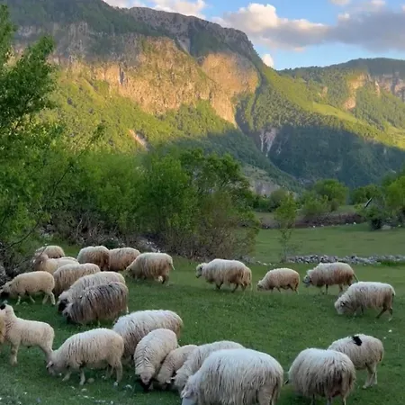 Vendégház Turi-selce Selce