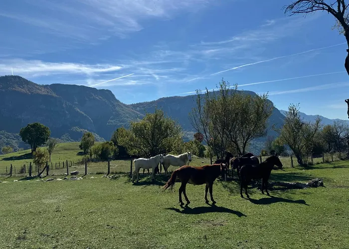 Pensjonat Turi-selce Selce